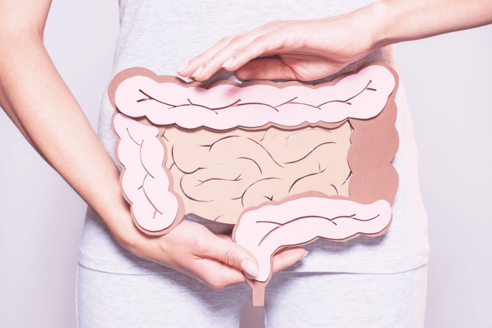 腸は第二の脳のイメージ写真